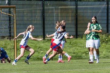 Bild 43 - wBJ Hamburger SV - VfL Wolfsburg : Ergebnis: 5:1